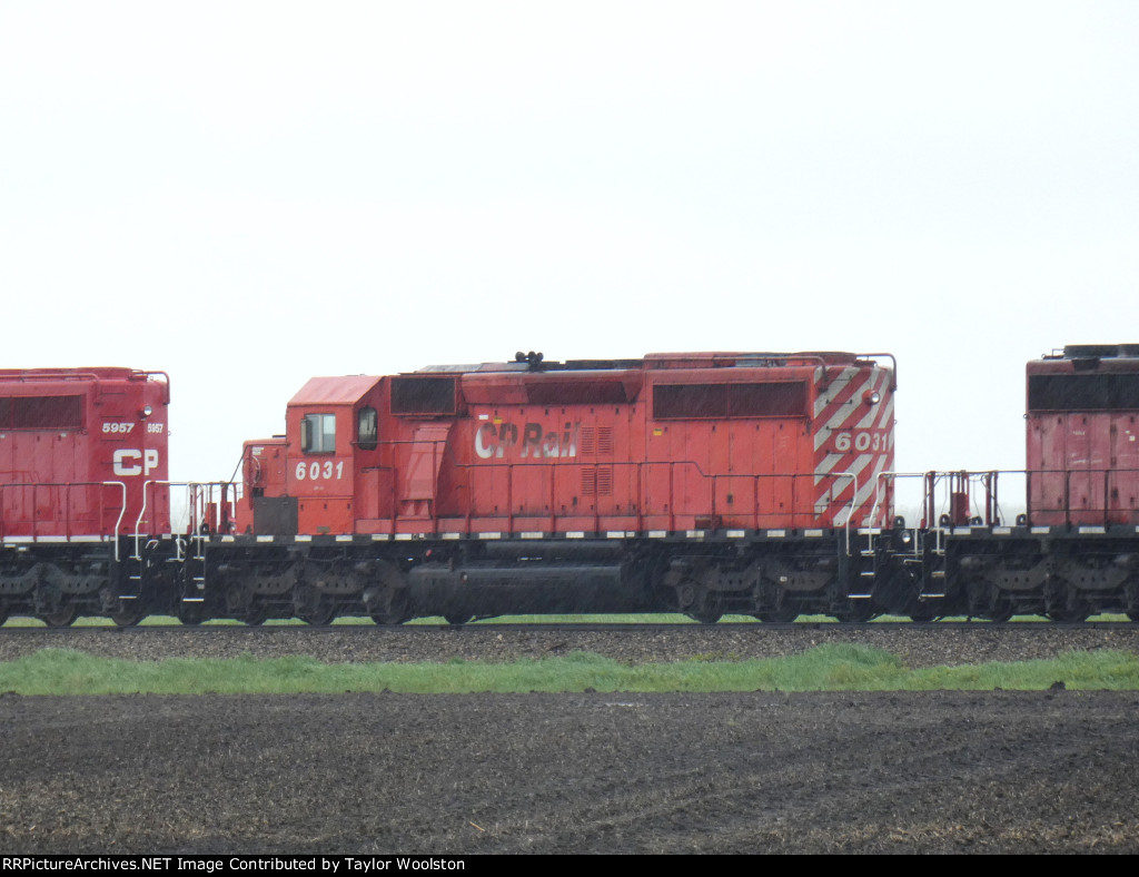 CP 6031